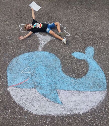 Zeigs Zeignis - David aus Urfahr-Umgebung