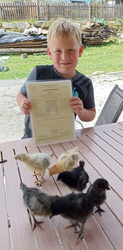 Zeigs Zeignis - Alex aus Freistadt