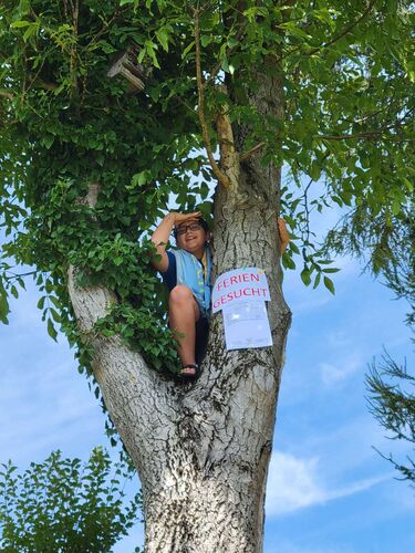 Zeigs Zeignis - Simon aus Wels