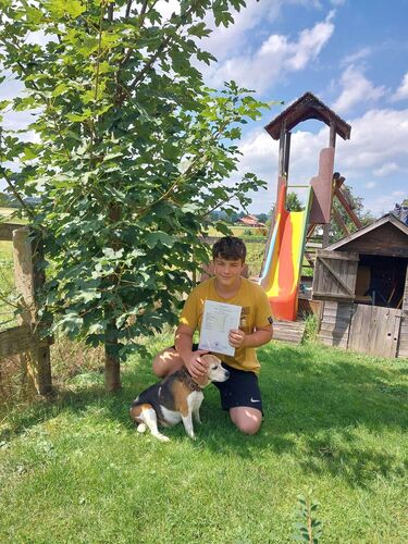 Zeigs Zeignis - Niclas aus Braunau