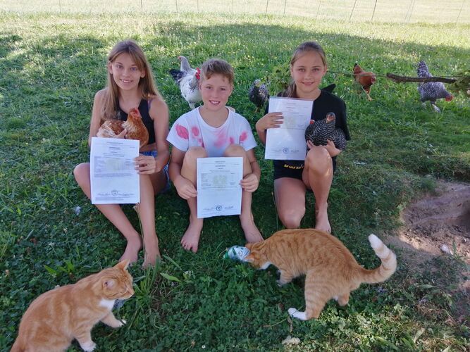 Zeigs Zeignis - Lisa, Helena und Jakob aus Schärding