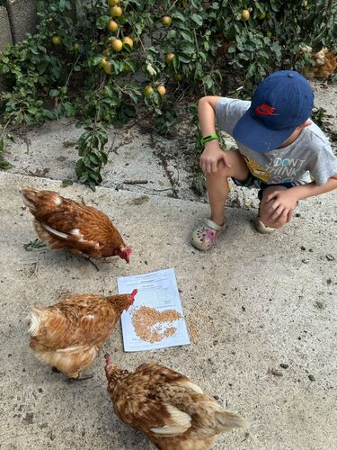 Zeigs Zeignis - Maximilian aus Linz