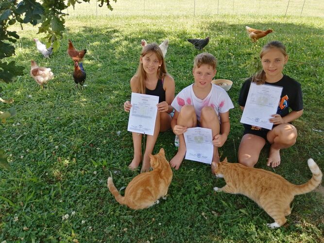 Zeigs Zeignis - Helena, Jakob und Lisa aus Schärding