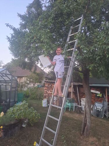 Zeigs Zeignis - Jonathan aus Wels