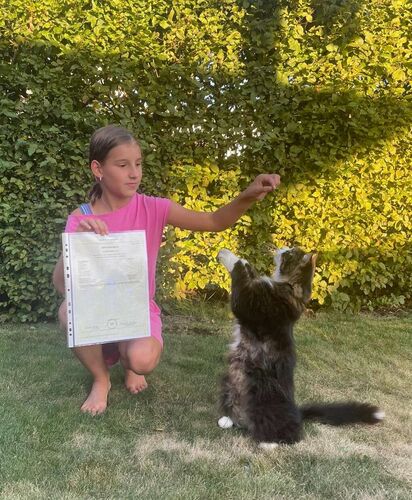 Zeigs Zeignis - Tina aus Ried