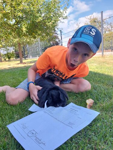 Zeigs Zeignis - David aus Urfahr-Umgebung