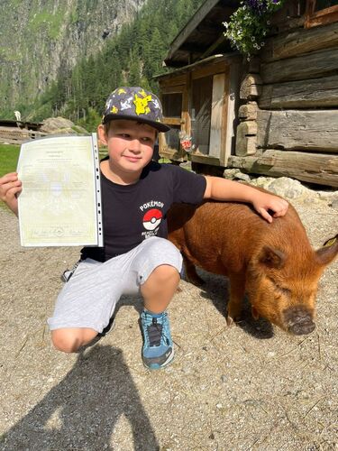 ZeigsZeignis -  Niklas aus Steyr