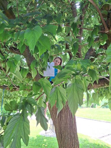 ZeigsZeignis -  Sophia aus Perg