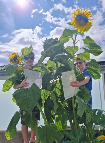 ZeigsZeignis -  Sebastian und Alexander aus Linz-Land