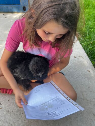 ZeigsZeignis -  Jana aus Linz-Land