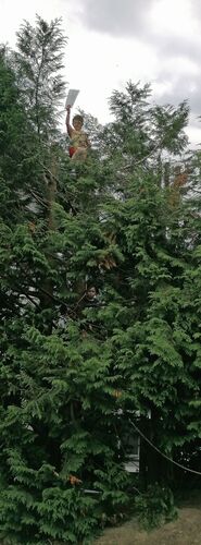 ZeigsZeignis -  Erik aus Gmunden