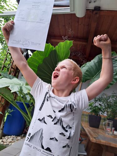 ZeigsZeignis -  David aus Linz-Land