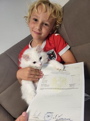 ZeigsZeignis -  Leon aus Linz