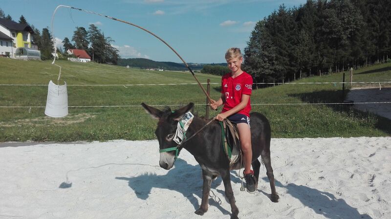 Zeig's Zeignis -  Lukas aus Grieskirchen