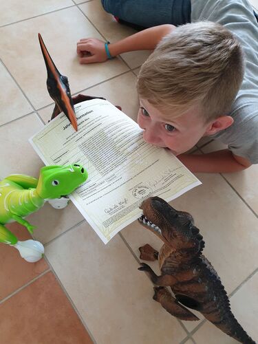 Zeig's Zeignis -  Nico aus Braunau