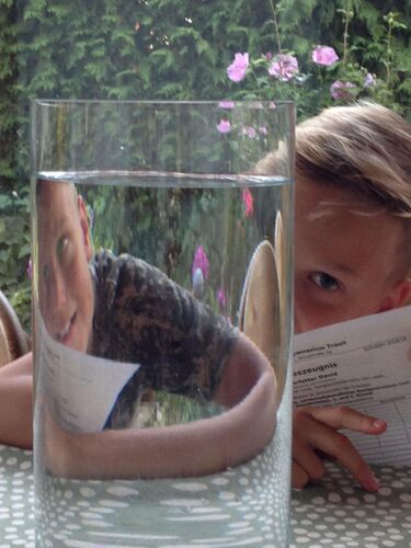 Zeig's Zeignis -  David aus Linz-Land