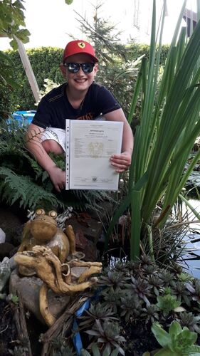 Zeig's Zeignis - Lucas aus Schärding