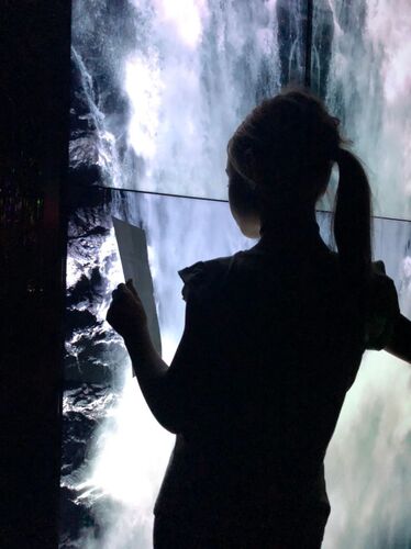 Zeig's Zeignis - Veronika  aus Linz