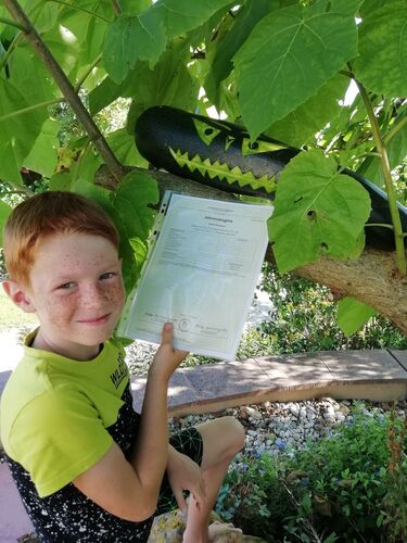 Zeig's Zeignis - Benjamin  aus Ried