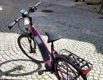 Viktoria e-Trekking 10.8