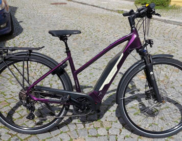 Viktoria e-Trekking 10.8