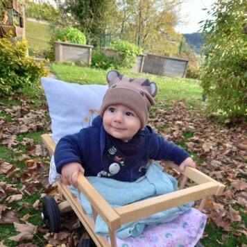 Moritz  aus Rohrbach