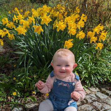 Valea aus Grieskirchen