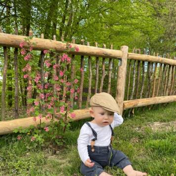  Valerian aus Schärding