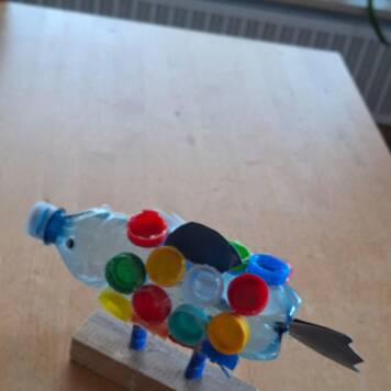  Bruno aus Wels