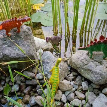 Marlene  aus Gmunden