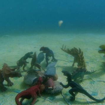 Laurenz aus Grieskirchen