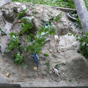 Johanna & Matthäus aus Vöcklabruck