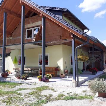 Silvia aus Urfahr-Umgebung