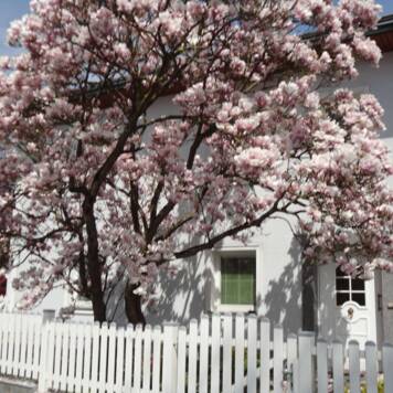 Günter aus Linz-Land