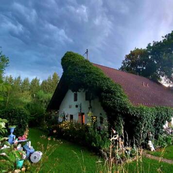 ulrike aus Vöcklabruck