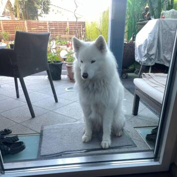 Raimund aus Urfahr-Umgebung