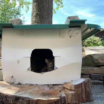 Rebecca aus Kirchdorf