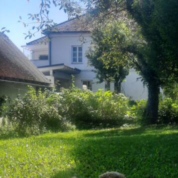 Wolfgang aus Amstetten