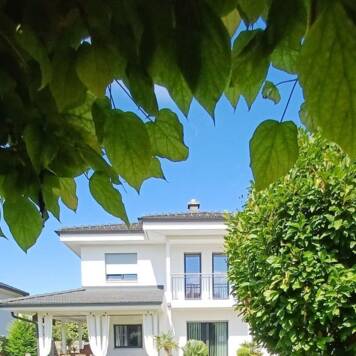 Helene aus Amstetten