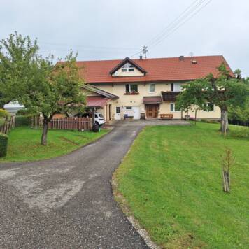 Petra aus Vöcklabruck