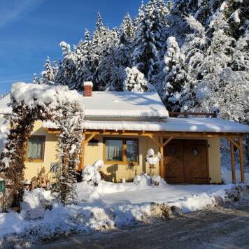 Claudia aus Freistadt