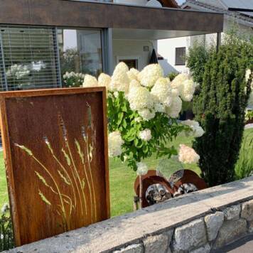 Michaela  aus Freistadt