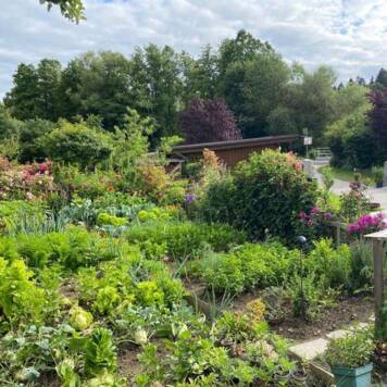 Daniela aus Rohrbach