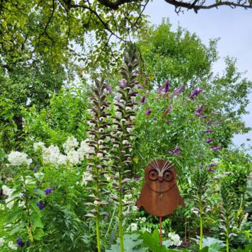 Robert aus Vöcklabruck