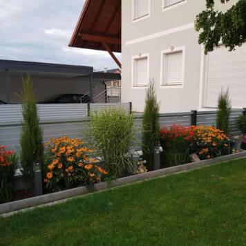 Alfred aus Amstetten