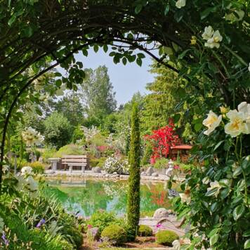 Anneliese aus Kirchdorf