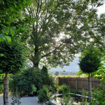 Margit aus Schärding