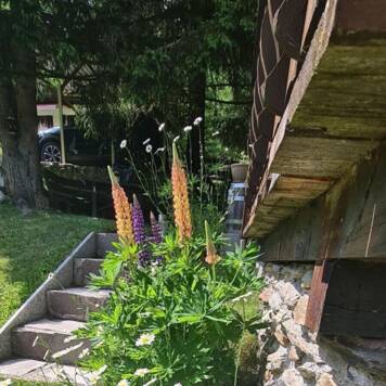 Gertraud aus Linz-Land