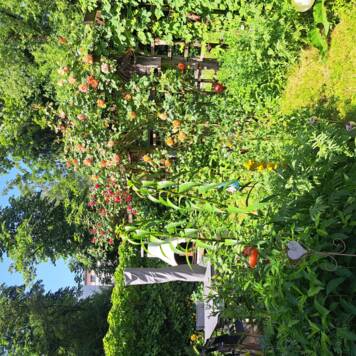 Reinhold aus Vöcklabruck