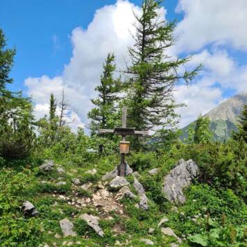 Andrea  aus Grieskirchen